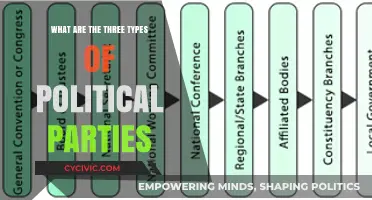 Understanding the Three Main Types of Political Parties Explained