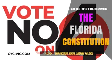 Floridians Can Amend Their Constitution in These Three Ways