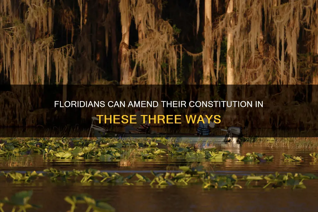 what are the three ways to ammend the florida constitution
