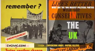 Exploring the UK's Dominant Political Parties: Conservatives vs. Labour