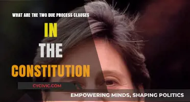Due Process Clauses: Two Constitutional Safeguards