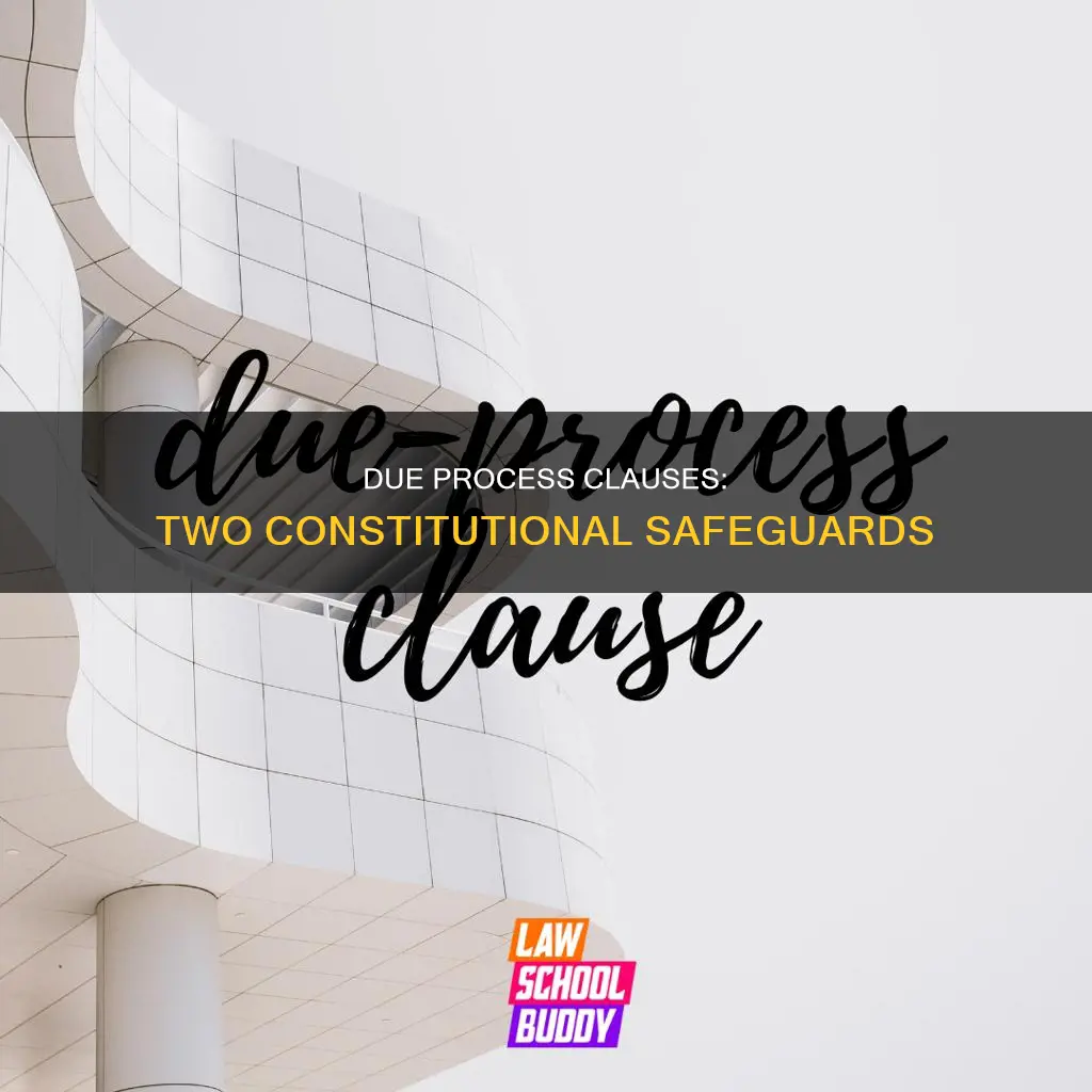 what are the two due process clauses in the constitution