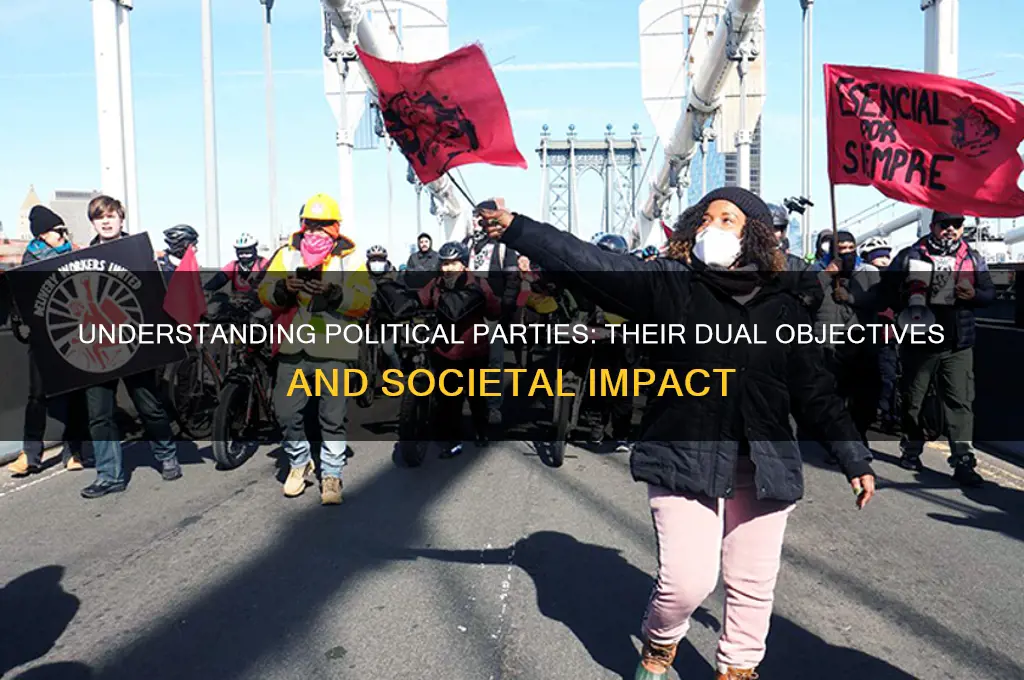 what are the two goals of a political party