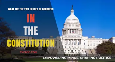 The Constitution's Two Congressional Houses