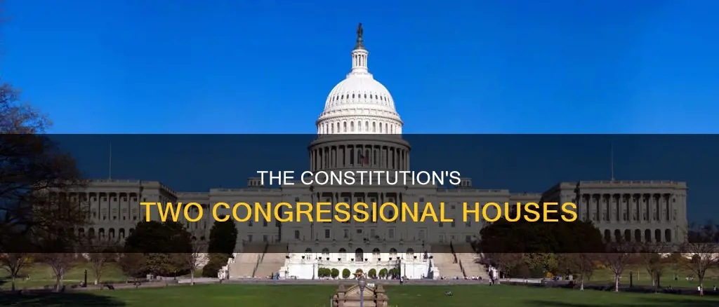 what are the two houses of congress in the constitution
