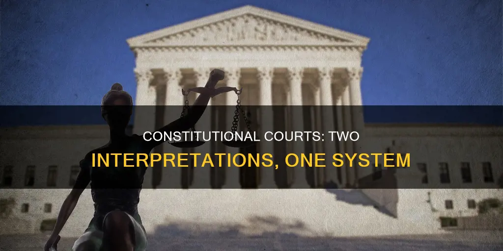 what are the two interpretations of the constitutional courts