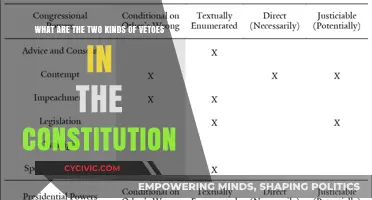 Veto Power: Two Types, One Constitution