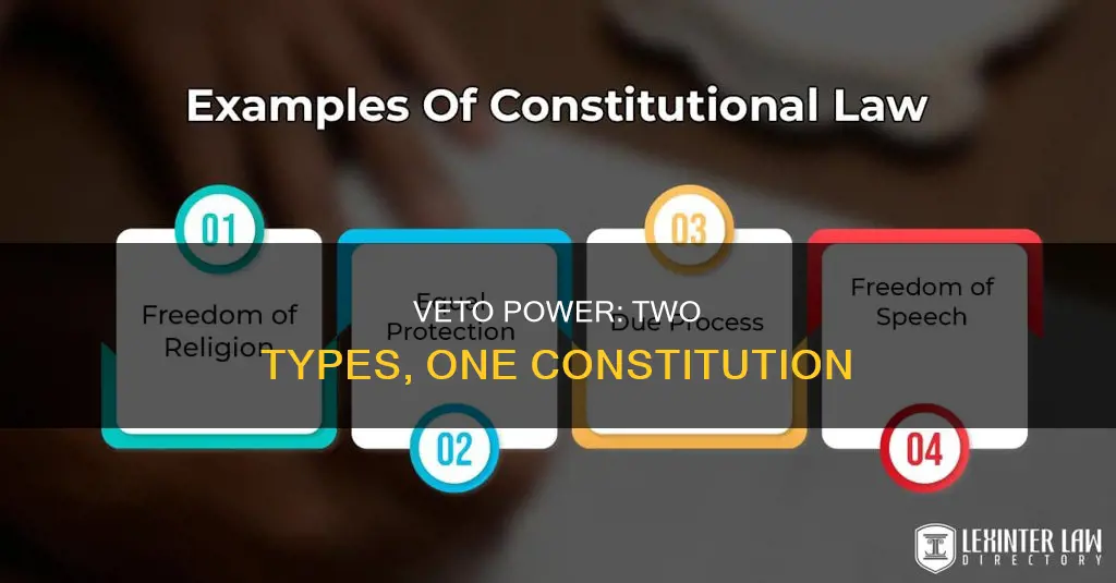 what are the two kinds of vetoes in the constitution