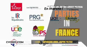 France's Dominant Political Parties: Exploring the Two Largest Forces
