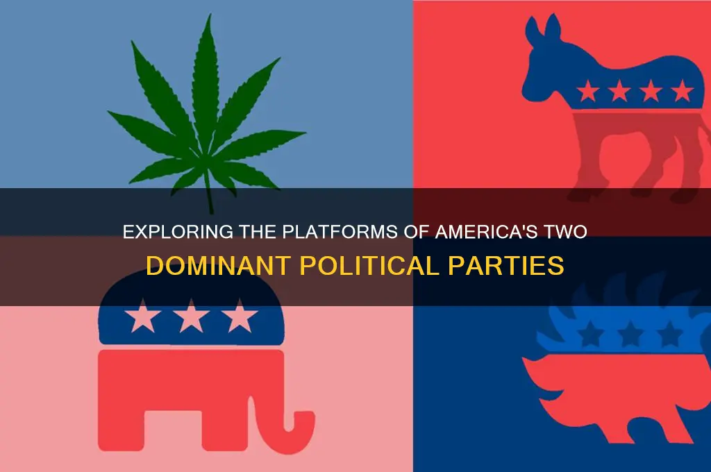 what are the two major political parties and their platforms