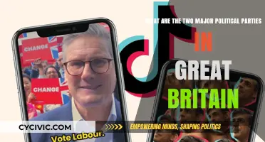 Exploring Great Britain's Dominant Political Parties: Tories vs Labour