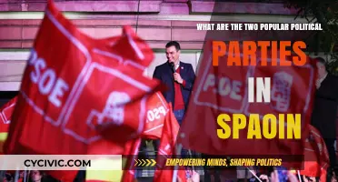 Spain's Dominant Political Parties: Exploring the PSOE and PP Influence