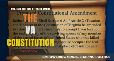 Amending the VA Constitution: A Two-Step Process