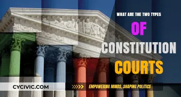 Constitutional Courts: Two Types, One Purpose