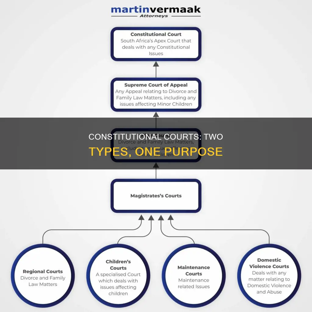 what are the two types of constitutional courts