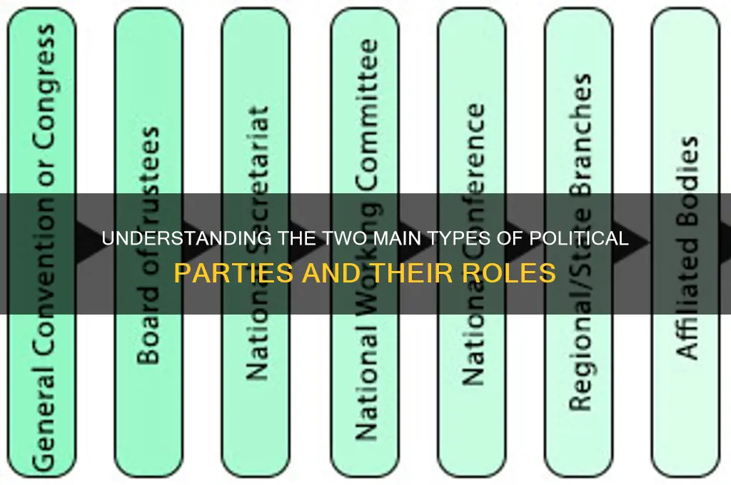 what are the two types of political parties