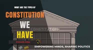 Understanding Varied Forms of Constitutions and Their Impact