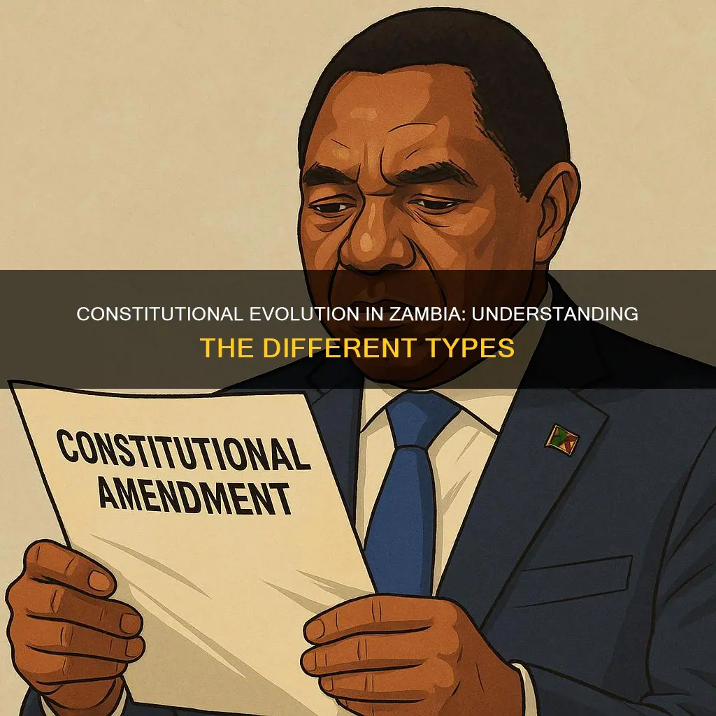 what are the types of constitutions in zambia