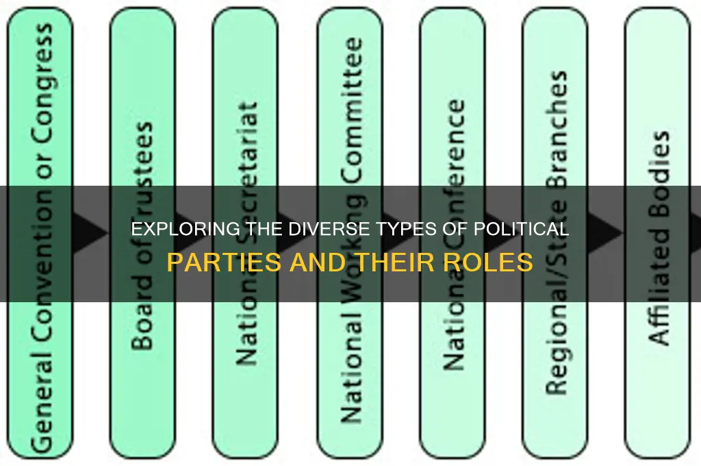 what are the types of political parties