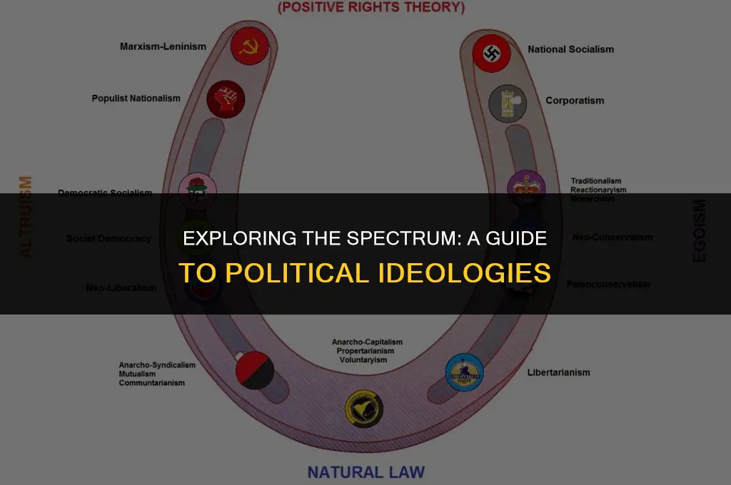 what are the types of political views