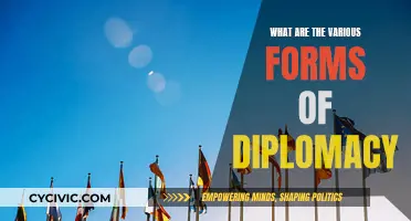 Diplomacy's Diverse Forms: Understanding the Art of Persuasion