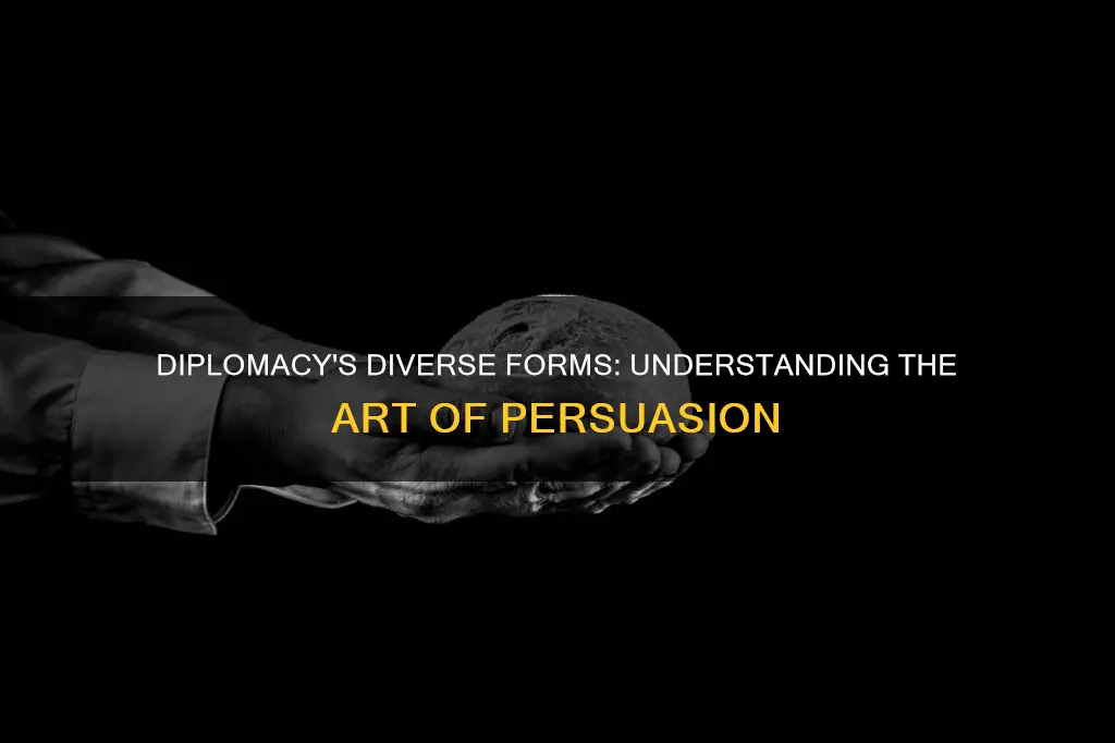 what are the various forms of diplomacy
