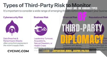 Third-Party Diplomacy: Exploring Diverse Types and Their Impact