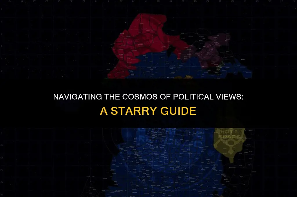 what are the view stars politics