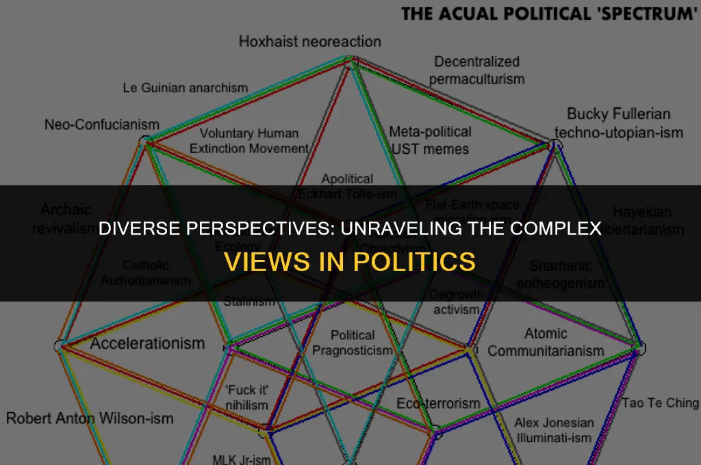 what are the views in politics