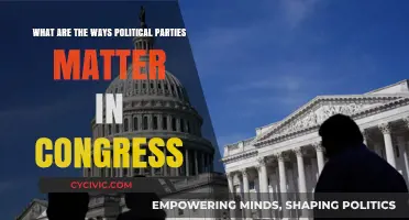How Political Parties Shape Power and Policy in Congress