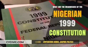 The Weaknesses of Nigeria's 1999 Constitution: An Overview