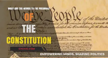 Constitution Preamble: Words and Their Meaning