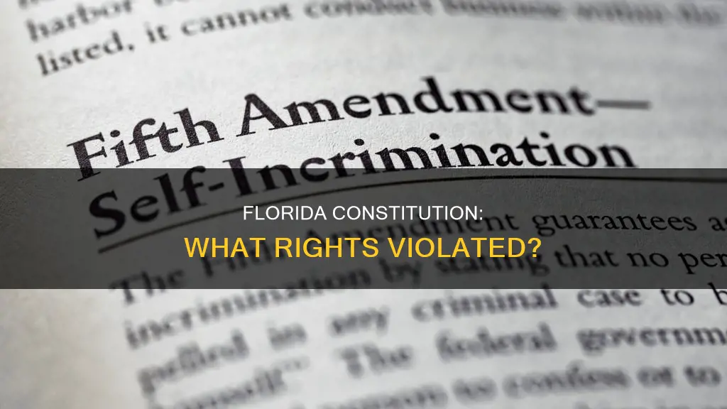 what are they claiming was violated in the florida constitution