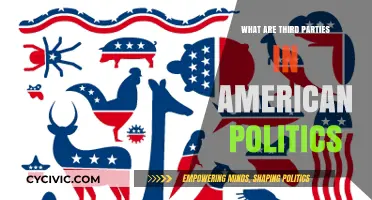 Understanding Third Parties: Their Role in American Political Dynamics