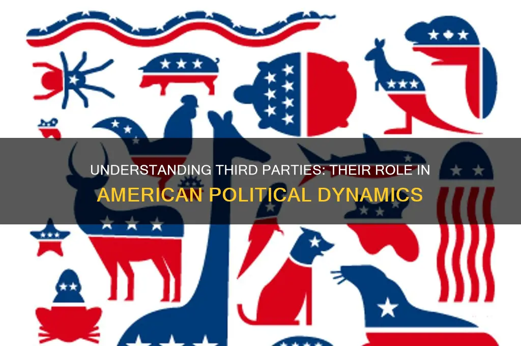 what are third parties in american politics