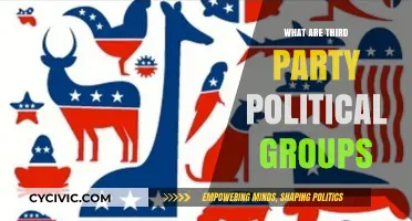 Understanding Third Party Political Groups: Roles, Impact, and Influence