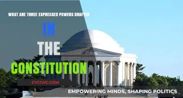 Exploring Express Powers: The Constitution's Vital Trio