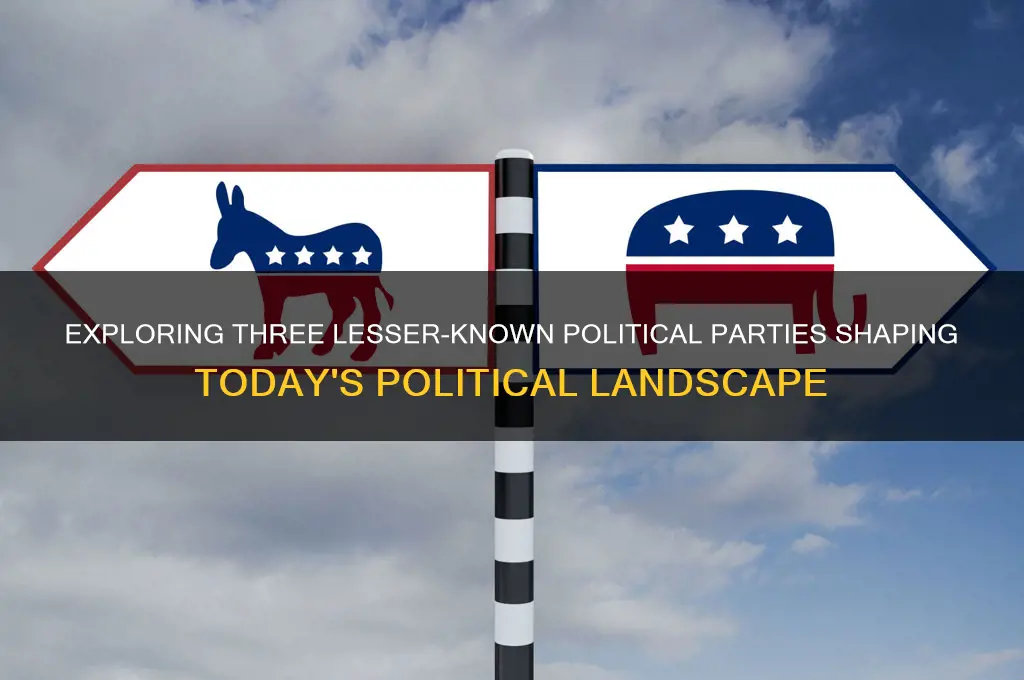 what are three minor political parties to0day