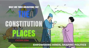 Constitutional Obligations: Three Key Responsibilities We Must Know