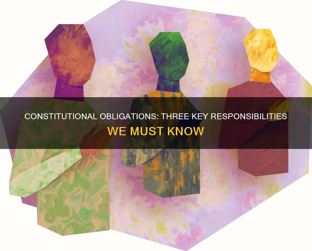 what are three obligations that the constitution places