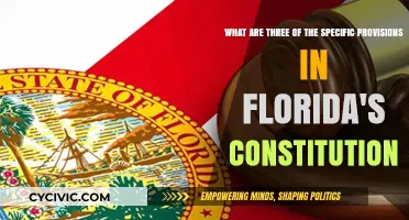 Florida's Constitution: Three Key Provisions Explained