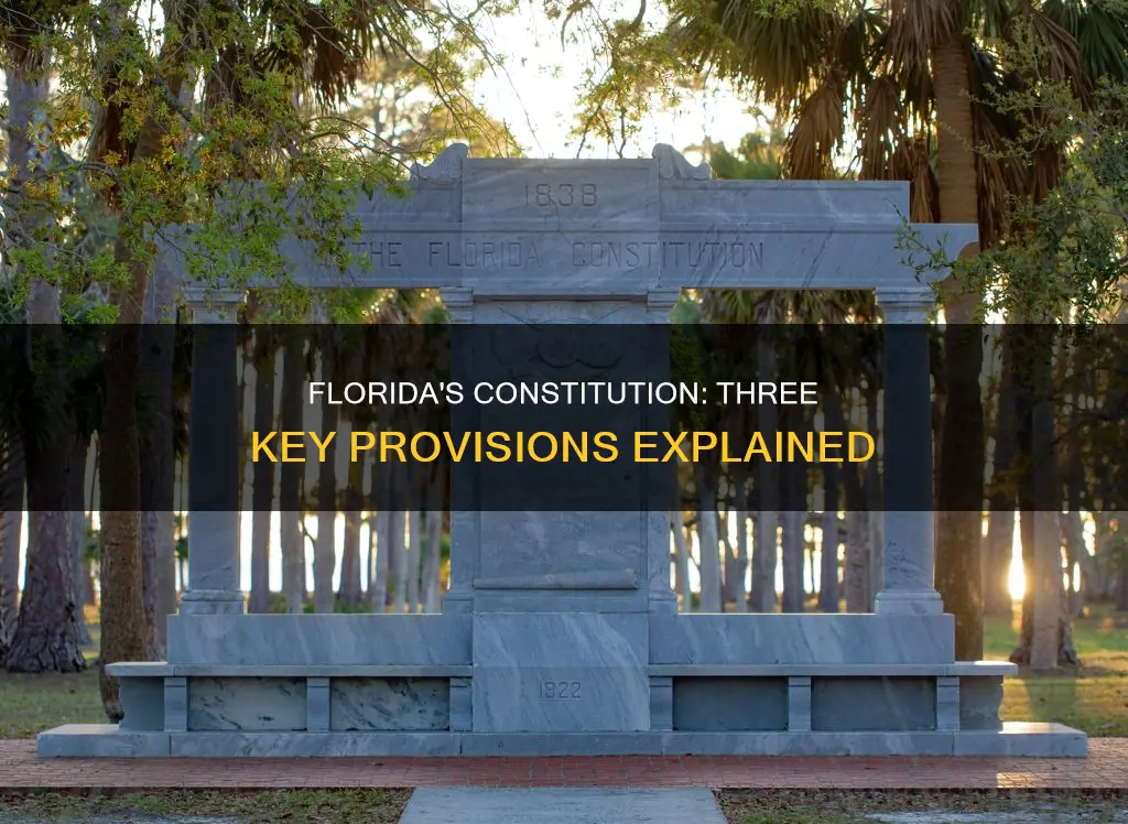 what are three of the specific provisions in florida
