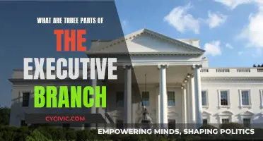 Understanding the Executive Branch: 3 Key Components
