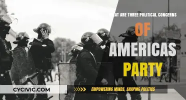 Key Political Concerns Shaping America's Party Today