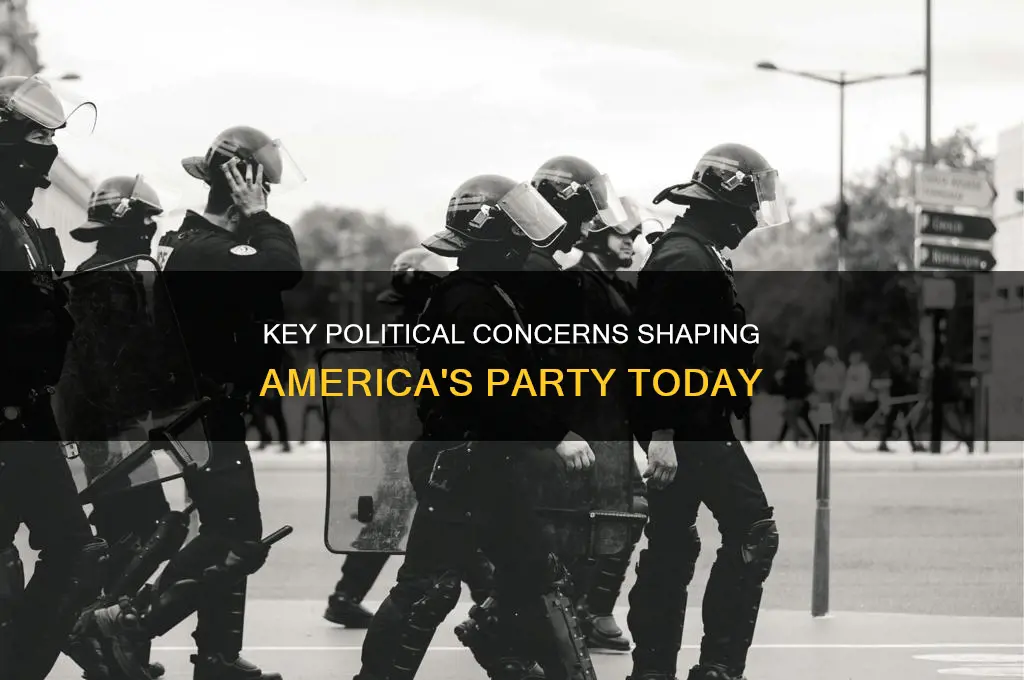 what are three political concerns of americas party