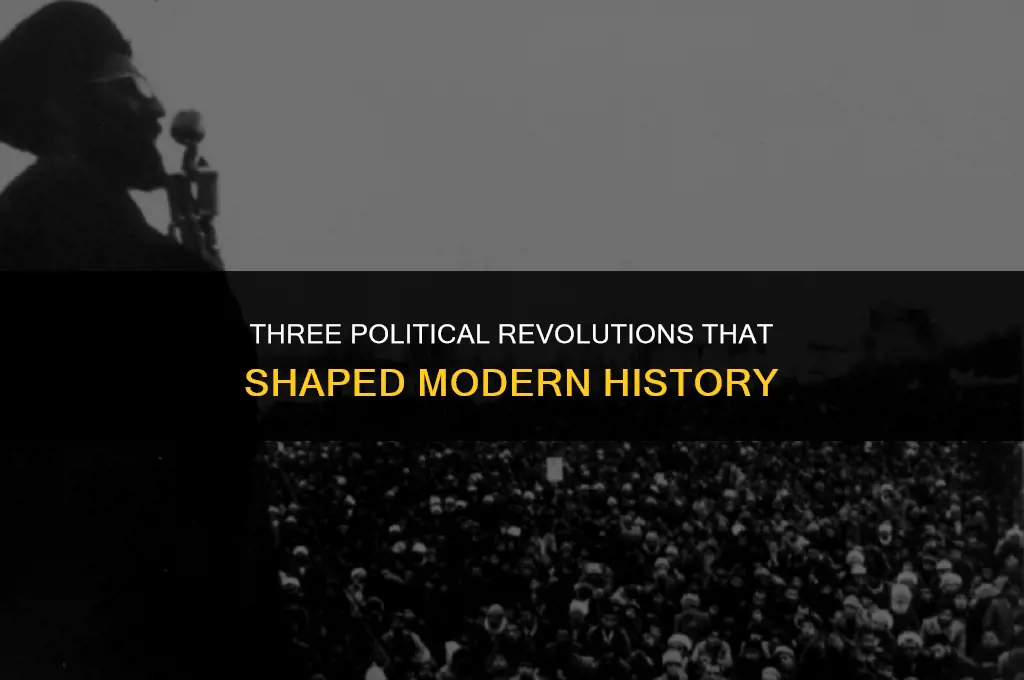 what are three political revolutions