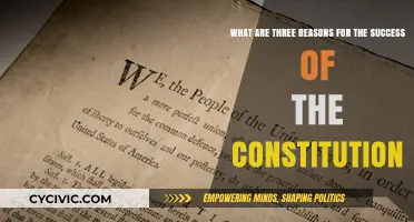 Constitution Success: Unity, Adaptability, and Balance