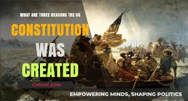 Founding Fathers: Constitution's Core Reasons