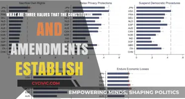 Core Values Established by the Constitution and Amendments