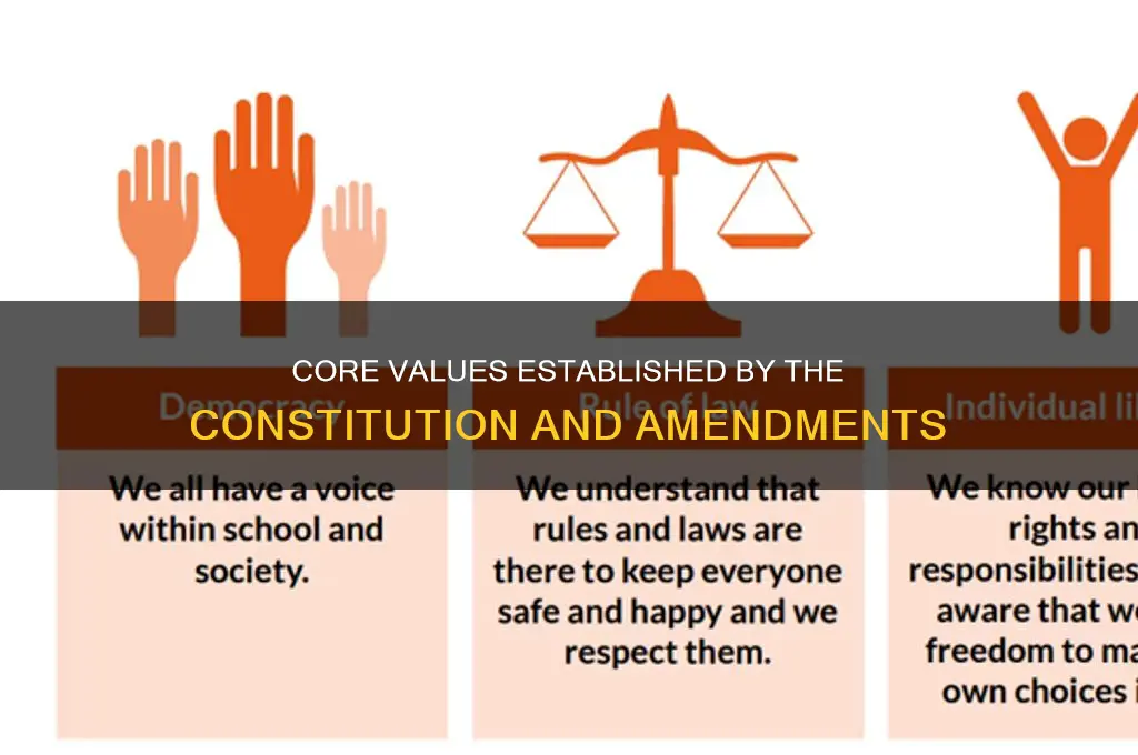what are three values that the constitution and amendments establish